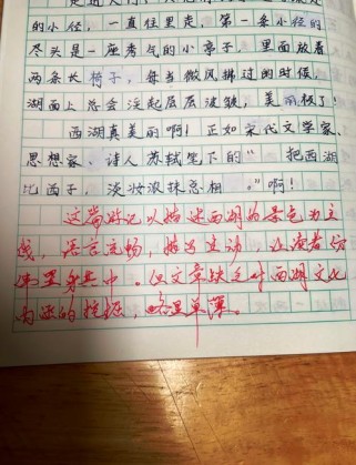 如何精准点评作文？关键点与技巧有哪些？