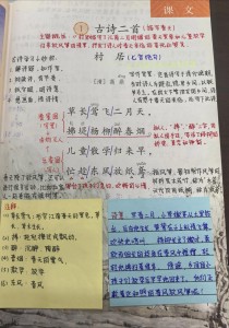 古诗二首课堂实录，如何高效引导学生品读？