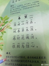 春望古诗如何传递家国情怀与个人悲愁？