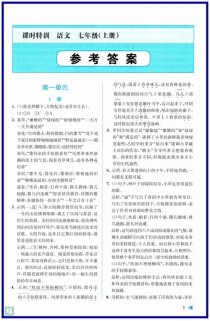 语文语文特训答案七年级