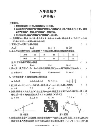 七年级下 数学 沪科