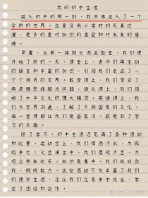 初中生活，是甜是苦还是难忘的序章？
