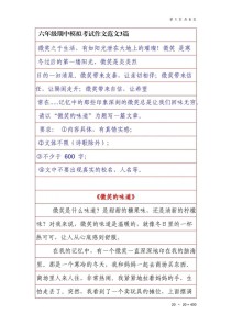 又见微笑，为何总在作文里遇见？