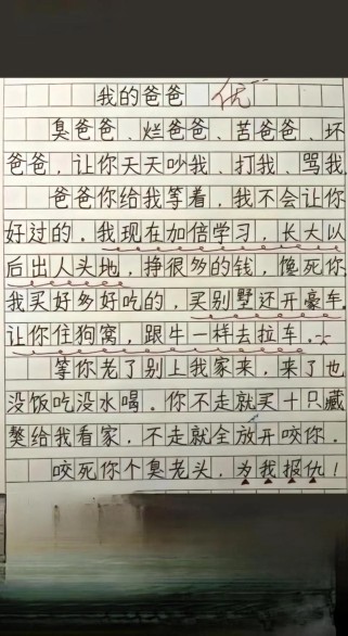 我的爸爸满分作文，满分背后藏着什么？