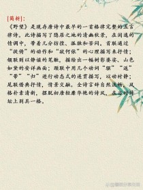 初中八年级上古诗词有哪些必考点？