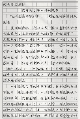 向上看与向下看，孰更重要？