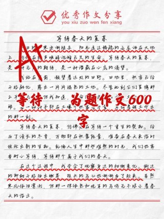 标准为题作文600字