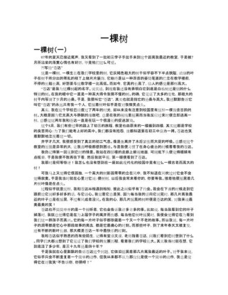 中考作文一棵小树，如何写出新意与深意？