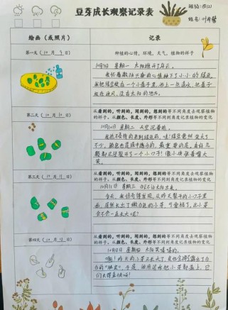 即景作文观察记录表如何写好？