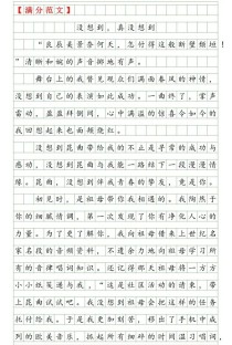 没想到，初中作文藏着什么秘密？