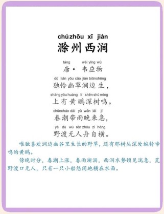 滁州西涧古诗意思究竟如何全面解读？