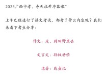2025年广西中考作文