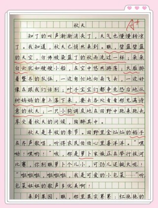 一年级作文里的秋天，藏着怎样的童真？