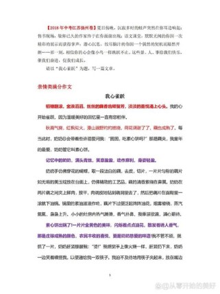 心在更远处满分作文