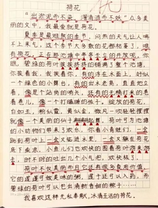 夏天的花，藏着哪些不为人知的秘密？