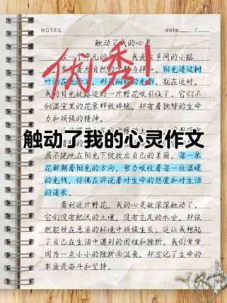 心灵如何借文字温暖另一颗心灵？