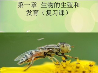 人教版八年级生物下册课件重点难点是什么？