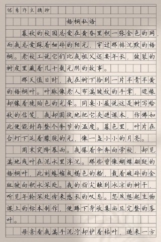 中考社会满分作文有何秘诀？