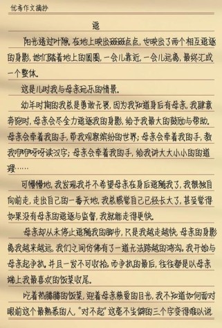 我与母亲的故事作文