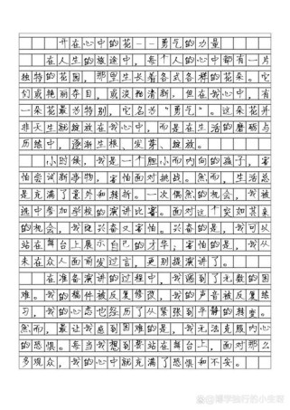 初一六百字作文大全，如何写出高分佳作？