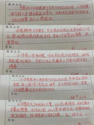 600字作文带评语，亮点与不足在哪？