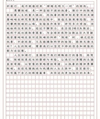 2025南京一模作文，青年如何应对时代变局？
