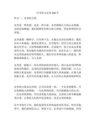 以友善为主题的作文