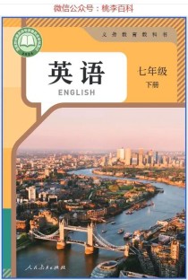 七年级英语下册人教案