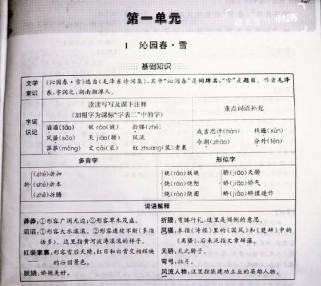 九年级语文第一单元字词有哪些重点？