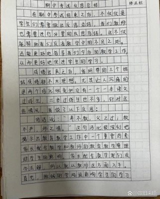 期中总结与反思作文