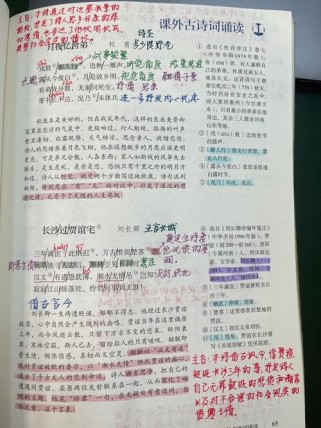 九上古诗二首有何深意？