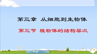 生物七年级上册ppt