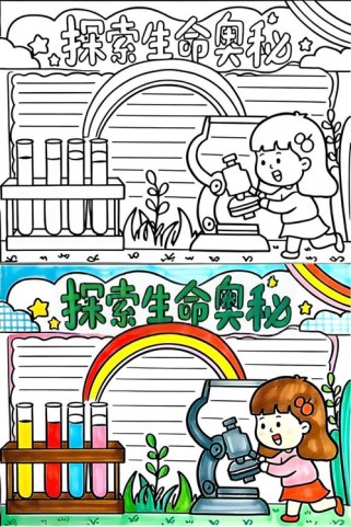 七年级下册生物手抄报怎么做？