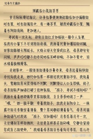 优秀作文大全800字初中