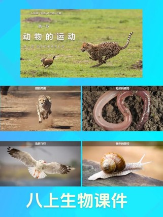 动物运动系统如何支撑其生命活动？