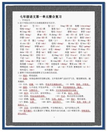 人教版语文七年级复习