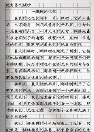 一棵树作文中考作文怎么写拿高分？