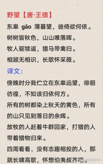 野望如何传递诗人孤独与归隐之情？