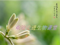 人教版八年级下册生物PPT哪里能下载？