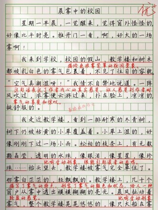 迷雾中如何前行？