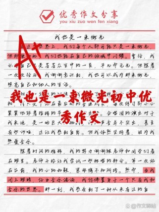 也是一种什么？初中作文的另类主题探索