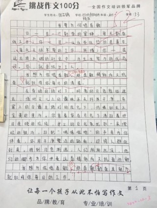 我要为你唱首歌作文