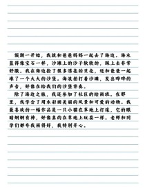 暑假作文300字，该写哪些事？