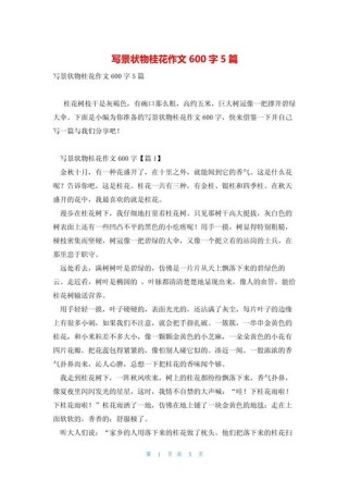 写桂花的作文600字