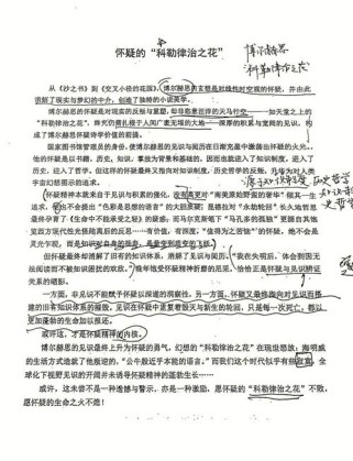 江苏09高考作文题意何在？