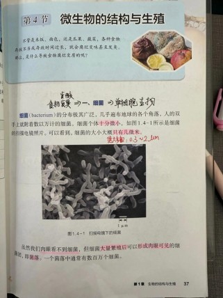 浙教版七年级下科学教材重点难点解析？