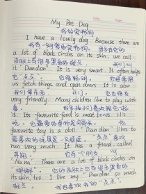 宠物英语作文该如何写？