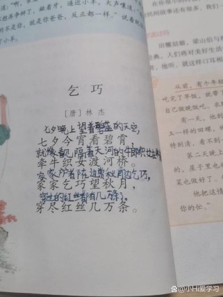 乞巧教案如何引导学生品析古诗意境？