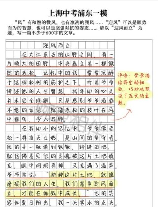 迎风前行，作文如何写出800字的迎风力量？