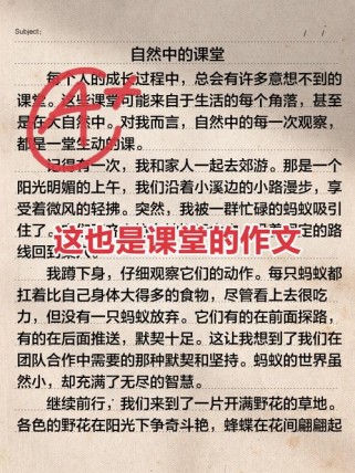 什么是课堂的作文